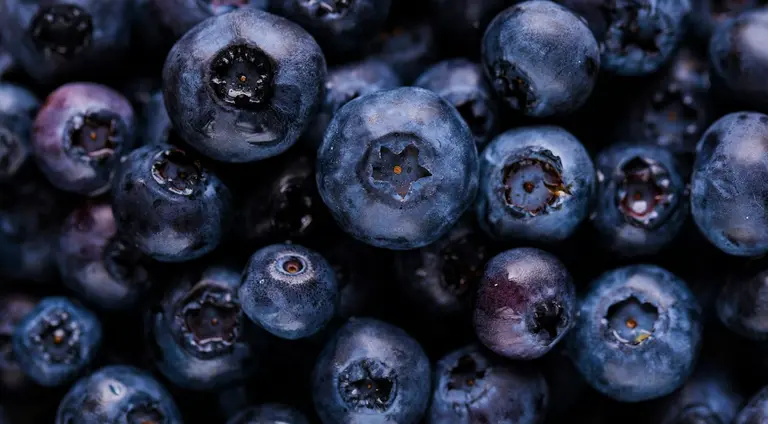 Fresh blueberries, illustrating our berry product range