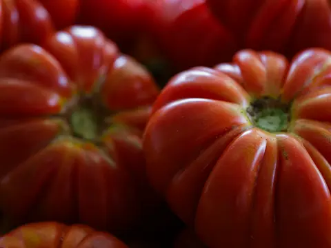 Ripe tomatoes, illustrating our canned product range